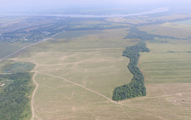 	53:11:0900106:137 Новгородская обл, р-н Новгородский, Ракомское сельское поселение, д Милославское