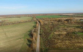 	53:11:1900401:10 Новгородская обл, р-н Новгородский, Трубичинское сельское поселение, земельный...