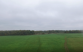 	53:11:1300201:12 Новгородская обл, р-н Новгородский, Подберезское сельское поселение, земельный...